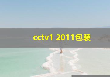 cctv1 2011包装